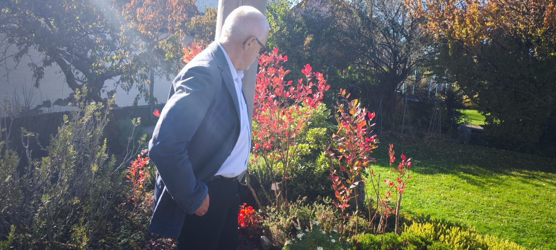 Aphorismen - Gerd Groß